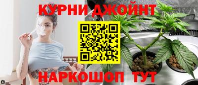 спиды Кинель