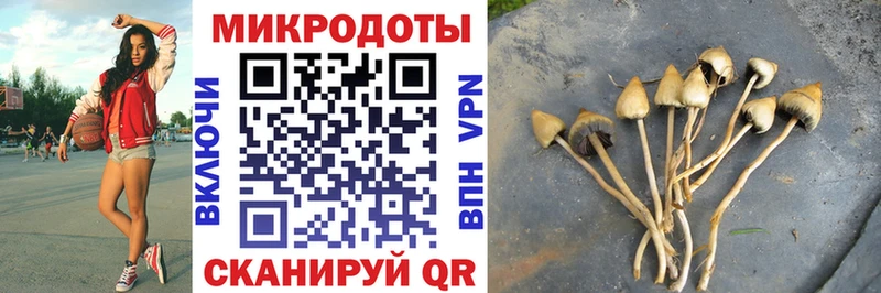 Псилоцибиновые грибы GOLDEN TEACHER  Краснокаменск 
