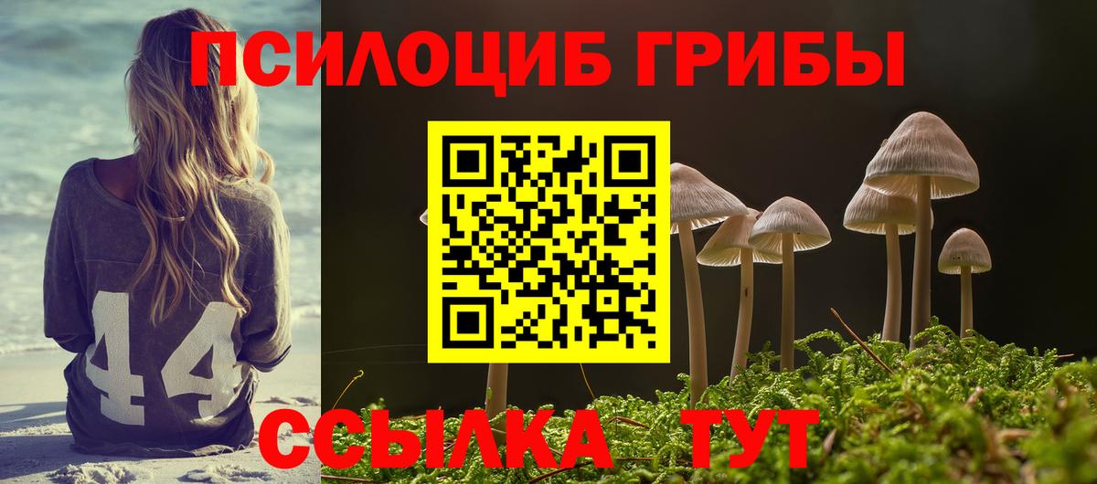 Галлюциногенные грибы Cubensis Краснокаменск