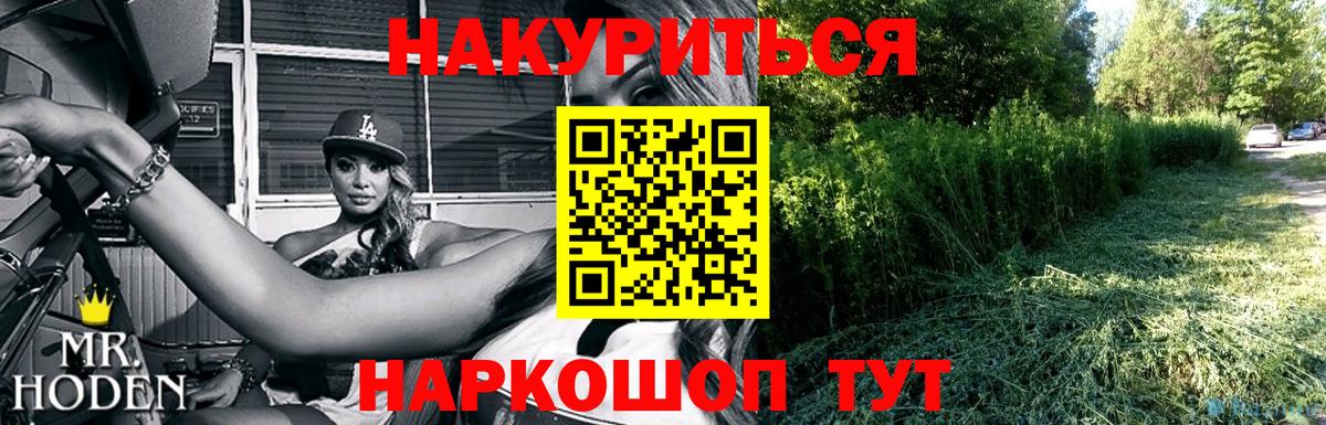 Бошки марихуана семена  Шишки марихуана конопля  Канабис Bruce Banner  Краснокаменск  Вход с VPN 